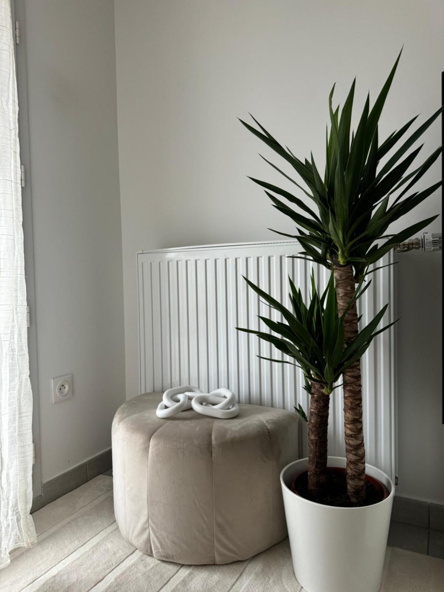 Superbe Appartement - Near Paris Corbeil-Essonnes Εξωτερικό φωτογραφία